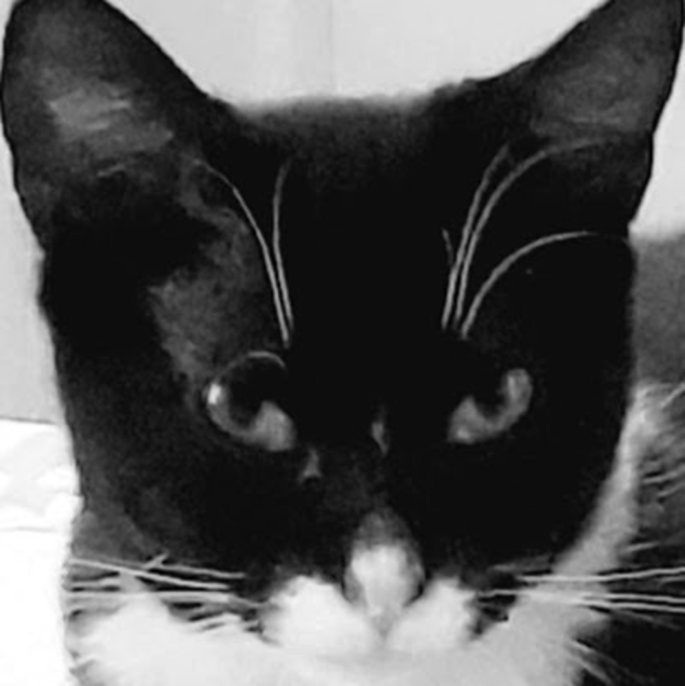 Meet your Posher, Simon